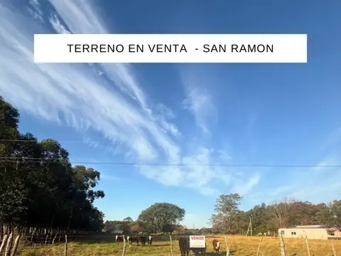 Terreno 5.000m2 en venta