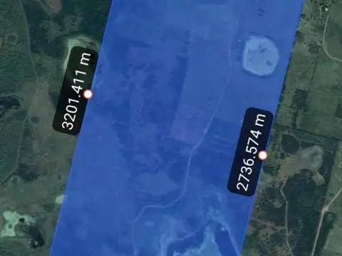 Arrendamiento 398 hec campo mixto  Esquina  Corrientes