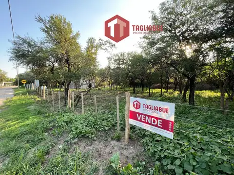 LOTE A 6 CUADRAS DE PLAZA CENTRAL