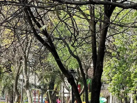 Barrio Bello Horizonte