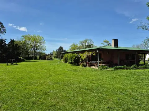 Corrientes al 200 Los Pinos