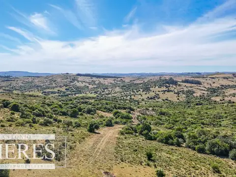Fraccionamiento de 3 y 4 ha en sierras de Pueblo Edén