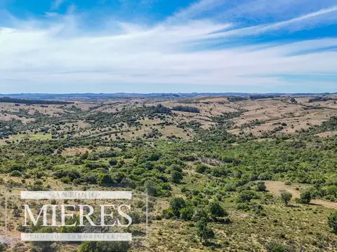Fraccionamiento de 3 y 4 ha en sierras de Pueblo Edén