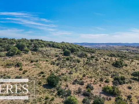 Fraccionamiento de 3 y 4 ha en sierras de Pueblo Edén