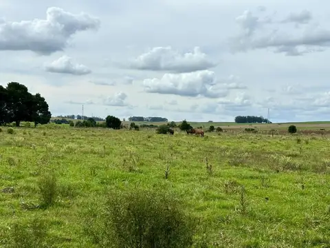 Quinta - Venta - Uruguay, Punta del Este