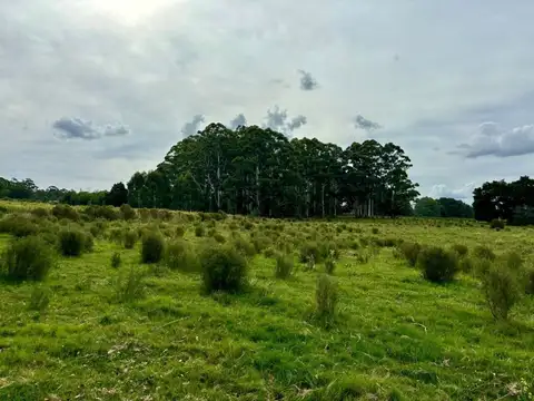 Quinta en Venta en Manantiales, USD 375.000