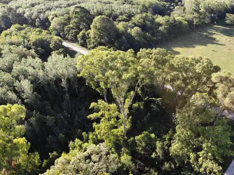 Terreno en Venta 150  mts Fondo