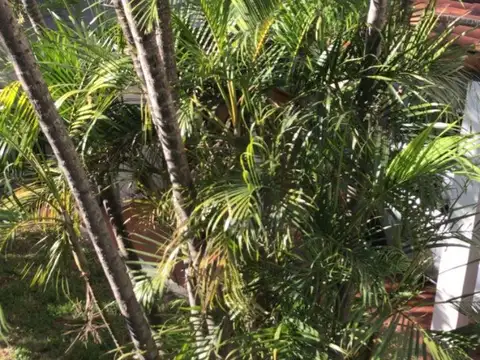 Casa 6 ambientes con 3 baños