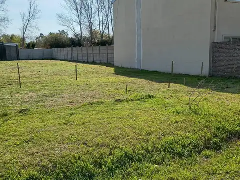 Terreno en Venta 43  mts Frente