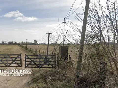 22 ha. Exaltación de la Cruz
