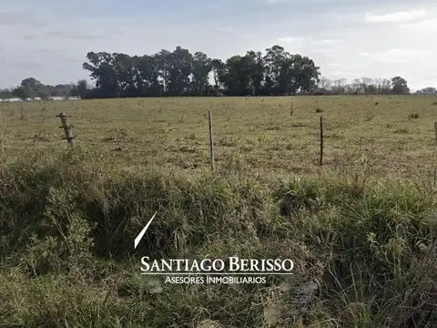 22 ha. Exaltación de la Cruz