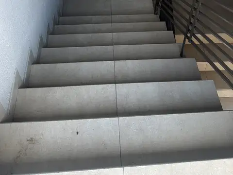 Las Cañas 335