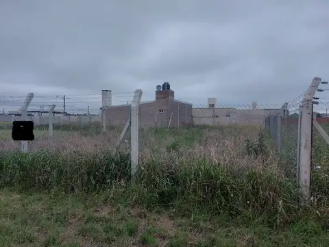 Dr. Eduardo Filippetti 100