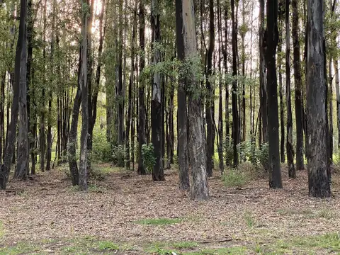 Terreno en Venta en Oliveros, USD 33.000