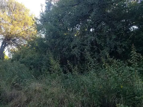Terreno en Venta en Centro, USD 24.000