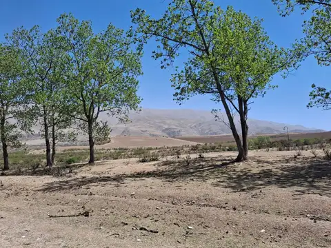 Terreno en Venta de 3050,0 m2