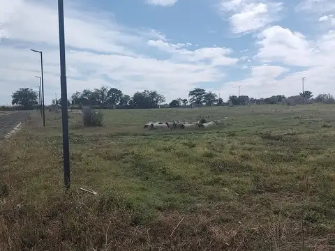 Etapa 3 La Loma