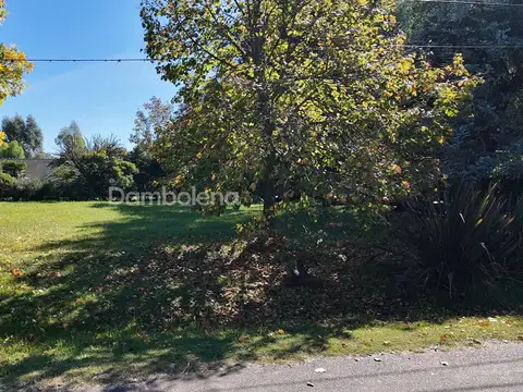Country  Club San Diego - Moreno 100