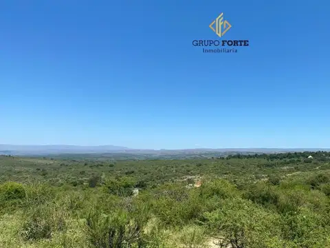 Lote Bialet Masse - s/n 0