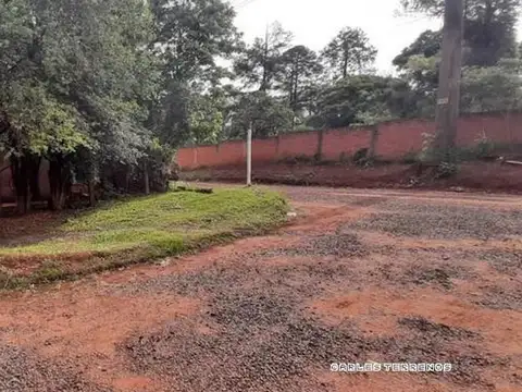 Martin Miguel De Guemes Calle