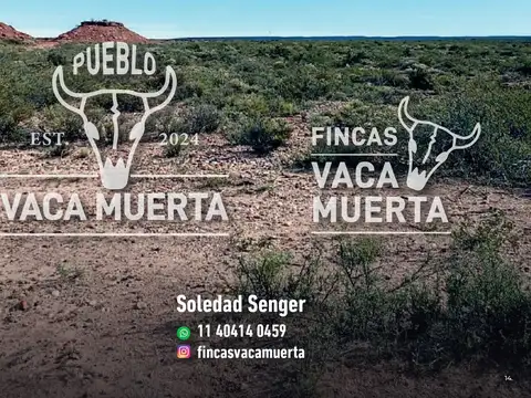 Terreno en Venta 10  mts Frente