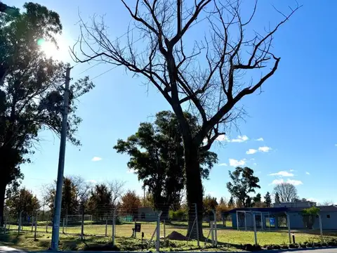 Terreno en Venta 20  mts Frente