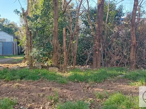 Terreno en Venta 31  mts Fondo