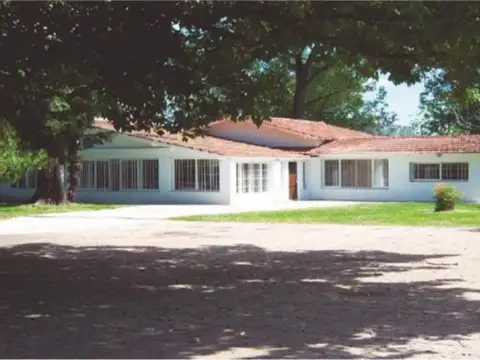Pedro diaz 2100