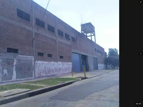 Planta