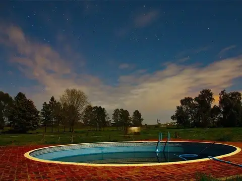 Campo dedicado a la cría de caballos con grandes galpones.