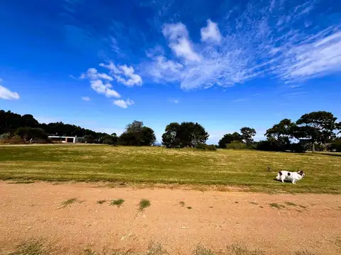 Terreno en Venta de 1000,0 m2