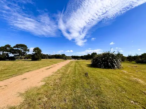 Terreno en Venta de 1000,0 m2