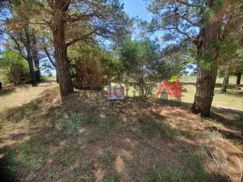 Terreno en Venta de 1000,0 m2