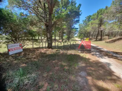 Terreno en Venta en Punta Medanos, USD 30.000