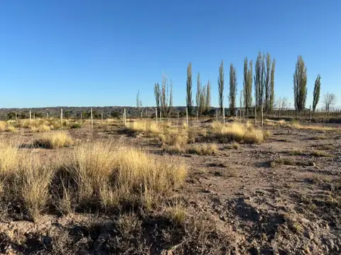 AZCUENAGA , Piso 0