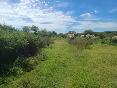 EL MANZANO LOTE 12 MANZANA 13