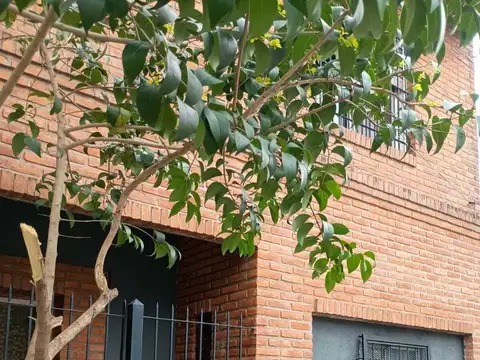 Venta 3 PH en bloque - Jardín - Pileta - Oportunidad!