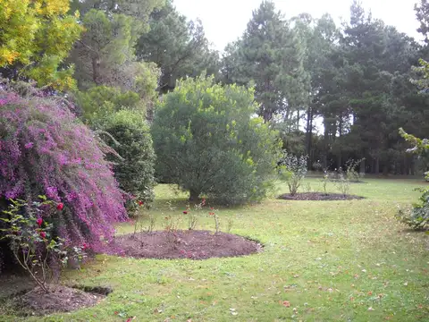 Excelente chacra en laguna del diario. Totalmente equipada
