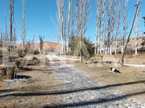 Terreno en Alquiler en Vista Alegre Norte, $ 1.200.000