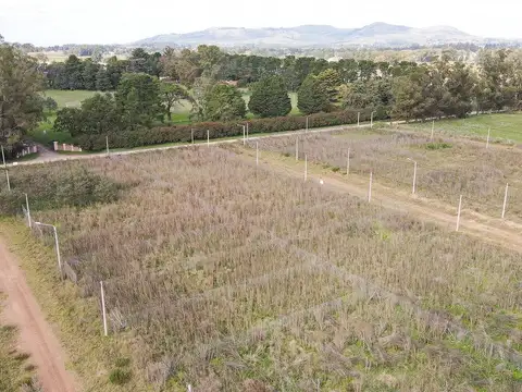 Terreno en Venta de 290,0 m2