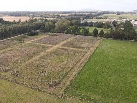 LOTE EN VENTA TANDIL ZONA BARRIO GRADUADOS