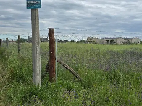 Aires de Bragado