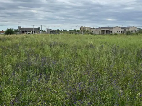 Terreno en Venta 42  mts Frente
