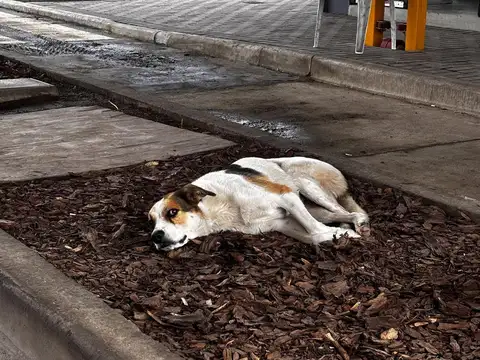 Terreno en Venta en Funes, USD 450.000