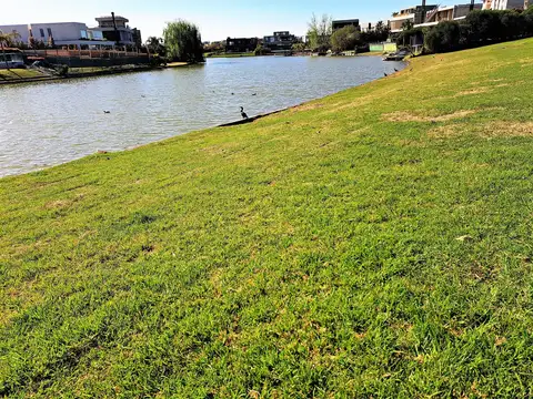 Terreno Lote  en Venta en El Golf, Nordelta, Tigre