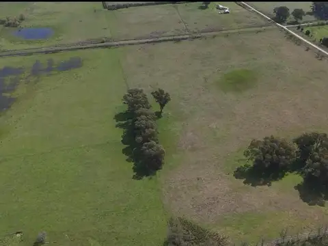 Campo en venta - 40.000Mts2 - Las Flores