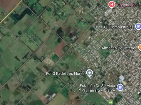 Campo en venta - 40.000Mts2 - Las Flores