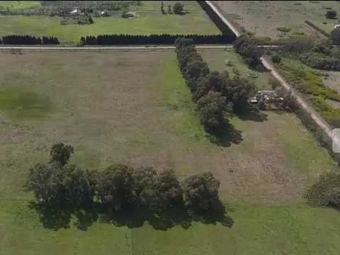 Campo en venta - 40.000Mts2 - Las Flores