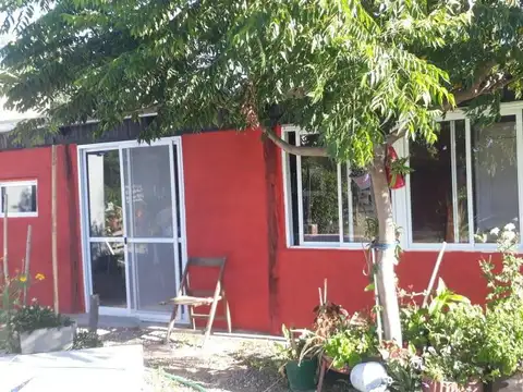 Cayasta -LOMAS DE PUNTA  ARENAS