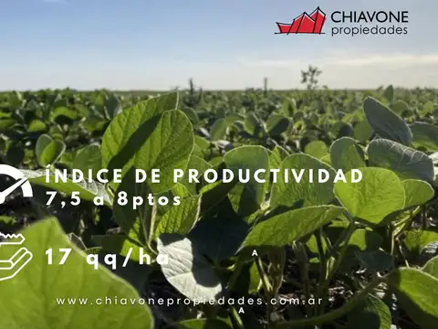 63 HAS EN ZONA NÚCLEO – A 10 KM DE PERGAMINO